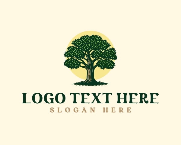 Eco Arborist Tree Care